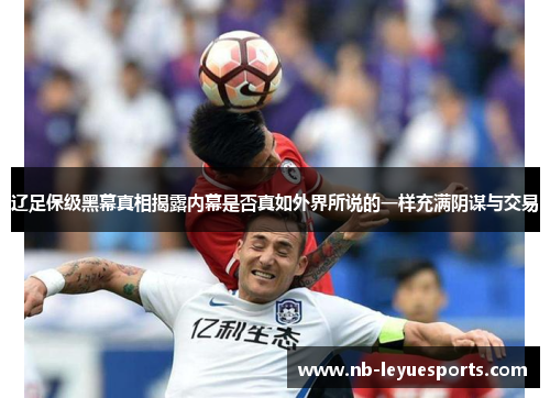 辽足保级黑幕真相揭露内幕是否真如外界所说的一样充满阴谋与交易 辽足保级黑幕真相揭露内幕是否真如外界所说的一样充满阴谋与交易